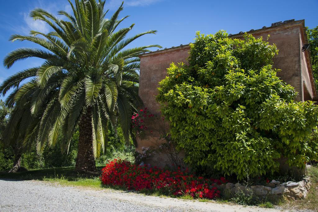 Agriturismo L'Isola Crespina Quarto foto
